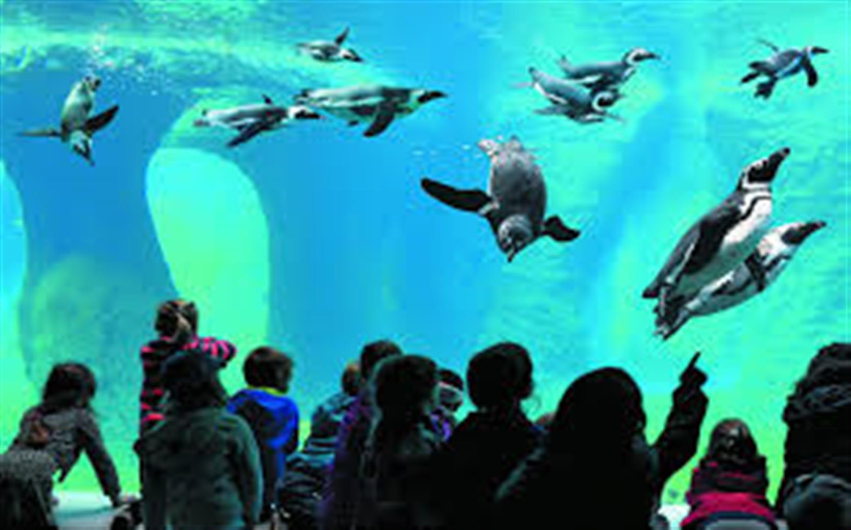 Výprava ZOO Wroclaw